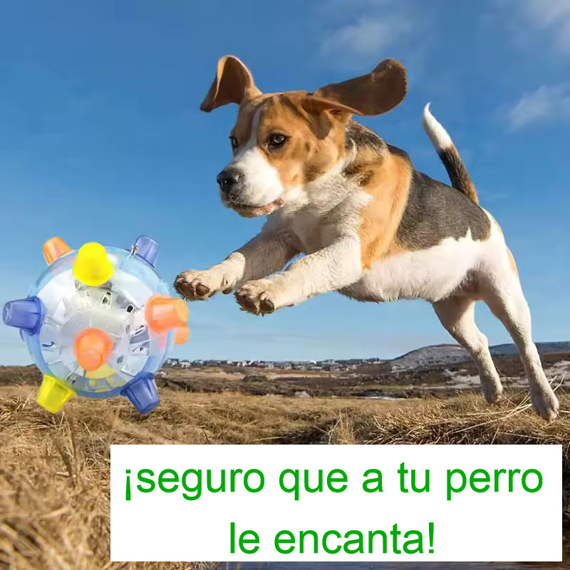 Juguete Para Perro Con Salto Para Perro Con Sonido Y Luz Led