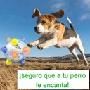 Juguete Para Perro Con Salto Para Perro Con Sonido Y Luz Led