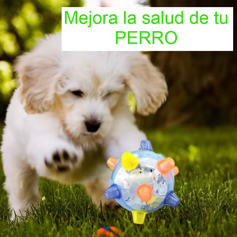 Juguete Para Perro Con Salto Para Perro Con Sonido Y Luz Led